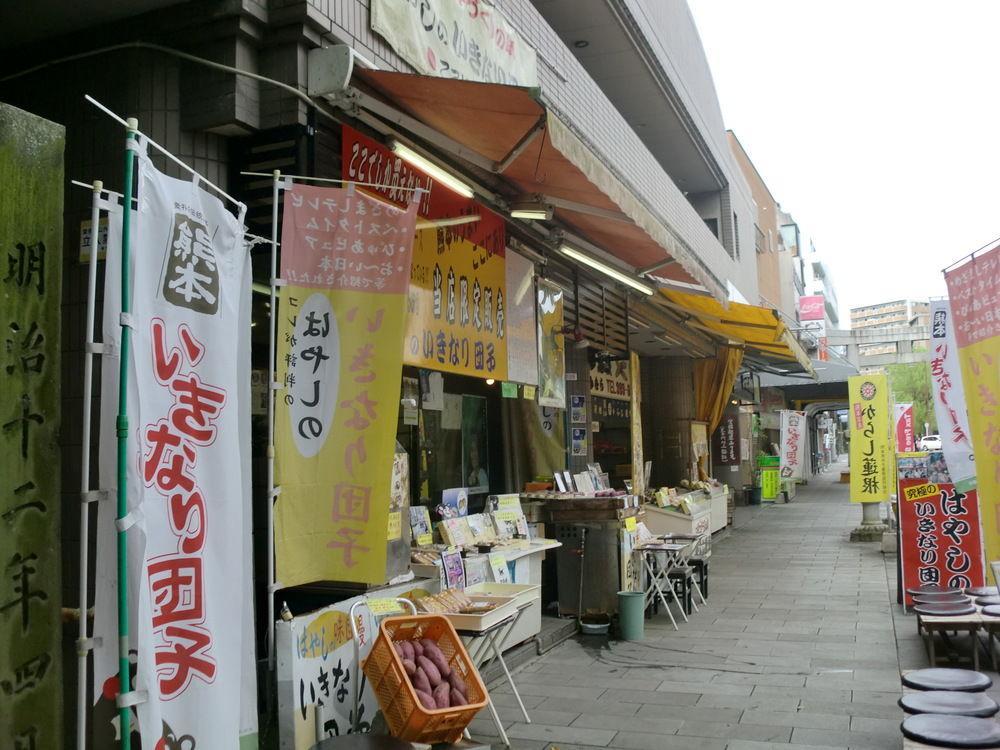 Suizenji Comfort Hotel Kumamoto Bagian luar foto