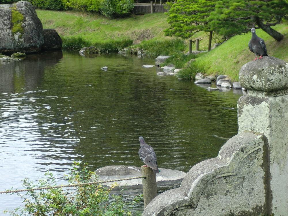 Suizenji Comfort Hotel Kumamoto Bagian luar foto